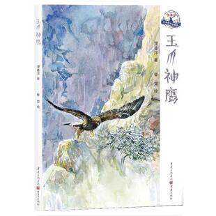 正版包邮  玉爪神鹰 9787229147938 浬鎏洋 重庆出版社