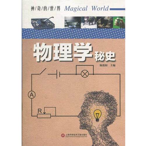 正版包邮  （科普）神奇的世界：物理学秘史【四色】 9787543978935 陈敦和 著 上海科学技术文献出版社