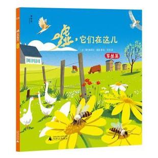 广西师范大学出版 包邮 绘本 正版 社 著 草丛篇 西尔维·米斯林 神秘岛：嘘·它们在这里 塞巴斯 平装 法 9787559853554