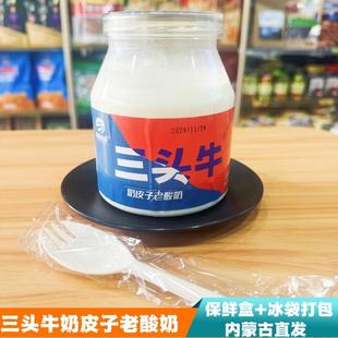 内蒙古奶皮子酸奶三头牛奶皮子风味发酵乳特产酸奶特色奶皮子桶装