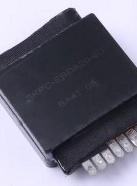SKPC-ERDA20-6C(135) 功率电感 20uH ±5% 9.6A -