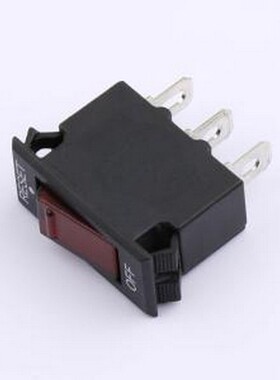 WH-201-10BR01W3-L22-R 船型开关 三合一过载保护器 排插翘板过载