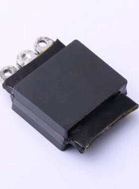 SKPC-ERCB2-2A(135) 功率电感 2uH ±5% 48A -