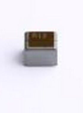 VLBU1007090T-R12L 功率电感 120nH ±15% 110A -