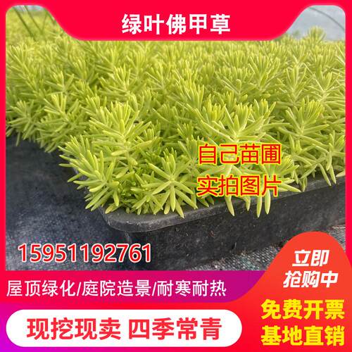 新中式太阳能庭院柱头灯