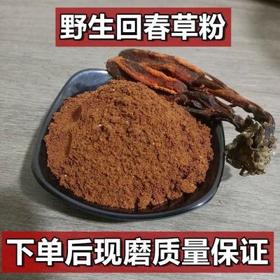 顶天柱粉回春草粉不老草