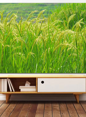 五谷丰登麦穗稻田客厅风景挂画卧室玄关餐厅饭店绿色田园开业壁画