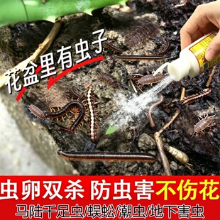 洁撒兵必即蚰蜒杀虫剂杀钱串子药除多脚虫灭草鞋底驱多足虫杀虫粉