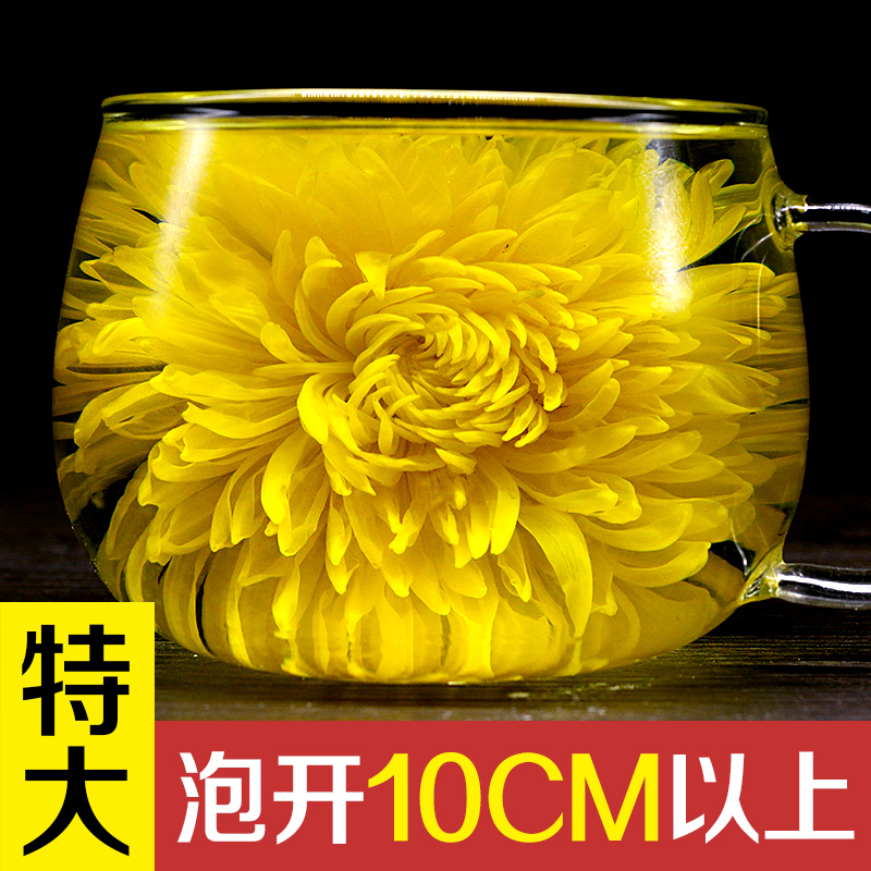 单朵特级金丝皇菊一朵一杯 徽州婺源修水金丝皇菊花茶大黄菊花茶