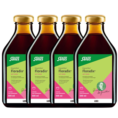 Salus绿版口服液500ml*4补铁补血
