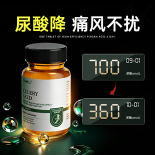 西芹菜籽平衡降排尿呵护酸高关节中老年人嘌呤代谢喝酒痛风结晶