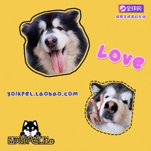 蛋黄家 老顾客专拍软粮篇