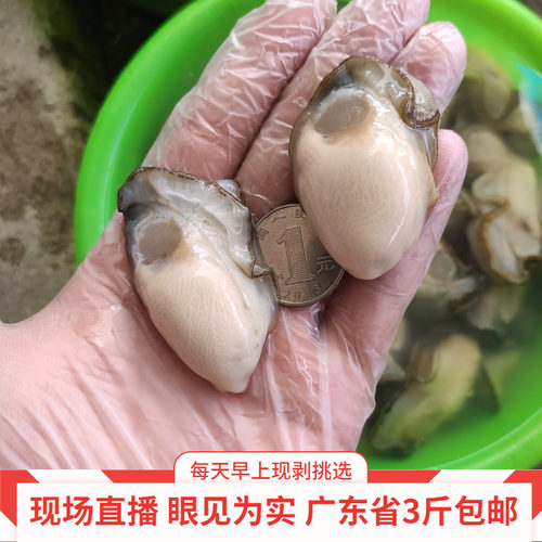 鲜活牡蛎肉潮汕海蛎肉现剥现卖海鲜水产贝类500克