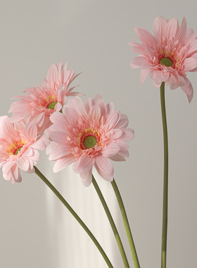 手感保湿非洲菊仿真花摆件