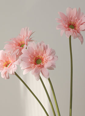 手感保湿非洲菊仿真花摆件