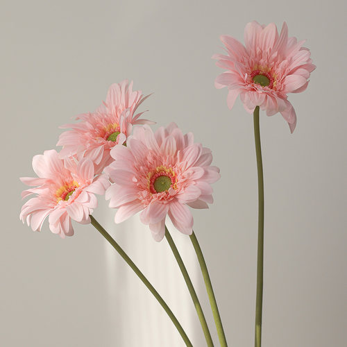 手感保湿非洲菊仿真花摆件