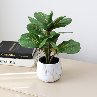 新款仿真琴叶榕小盆栽桌面盆景摆件假绿植绿叶植物办公室工位摆设