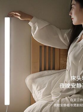 LED日光灯管高级护眼调节大学生宿舍LED长条灯USB三色无极磁吸USB