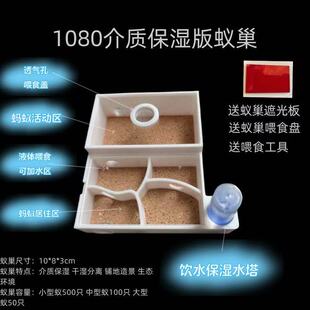 1080新手3d打印平面蚁巢保湿蚁巢可观察蚂蚁工坊科学实验活体饲养