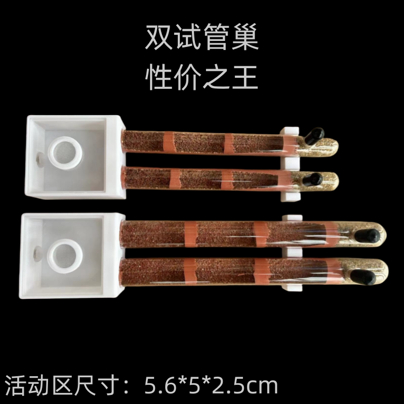 双试管巢15口径18口径高性价比蚁巢学生版蚂蚁工坊安装简单易上手