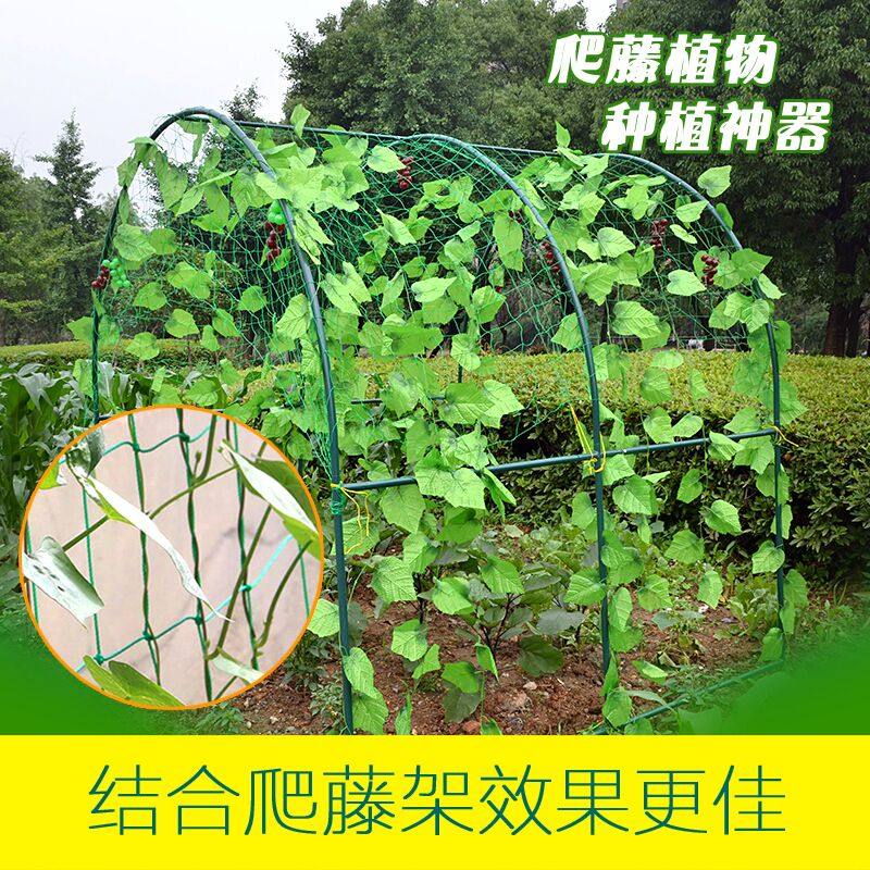 家用园艺爬藤网黄瓜葡萄蔷薇月季攀爬植物爬藤网加强版尼龙爬藤网,鲜花速递/花卉仿真/绿植园艺,其它园艺用品,淘宝优惠券,粉丝福利购,淘宝优惠卷