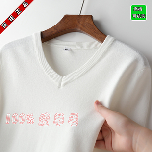 濮院羊毛衫中青年男士春秋新款韩版修身针织打底V领保暖纯羊毛衣