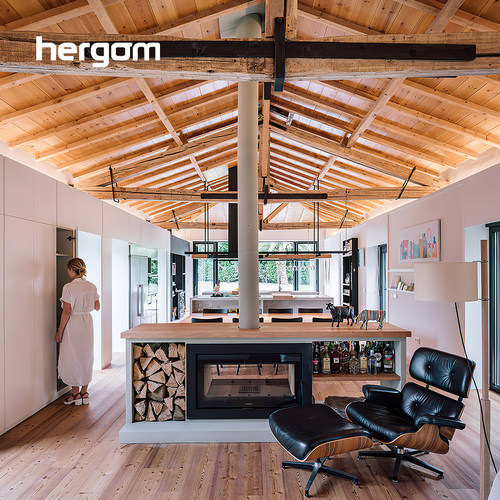 Hergom西班牙进口嵌入式燃木壁炉
