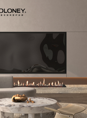 MOLONEY EVA智能酒精真火壁炉 高端家用 奢华室内装饰壁炉芯 取暖