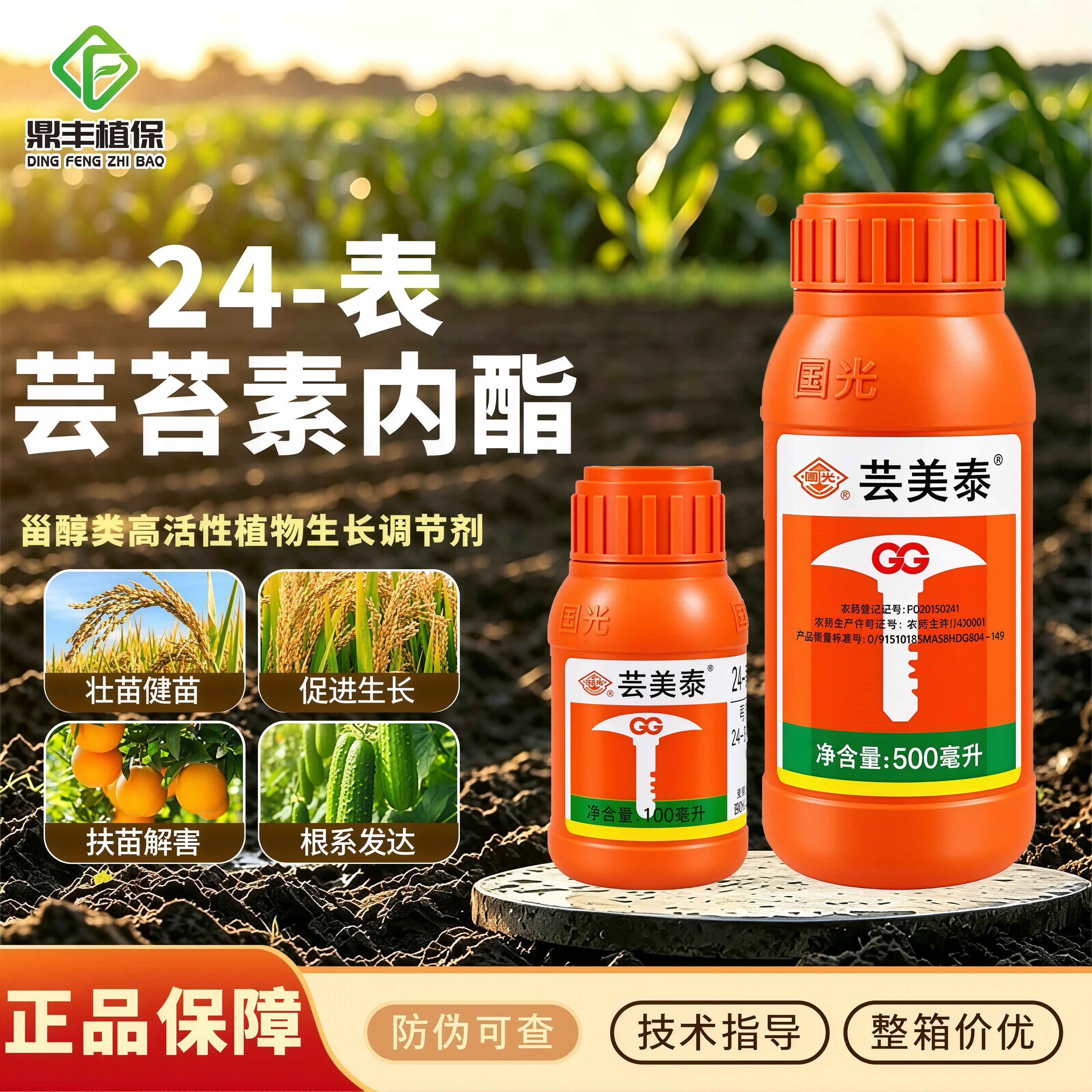 国光芸美泰24表芸苔素内酯 生根壮苗增产扶苗解害生长调节剂500ml