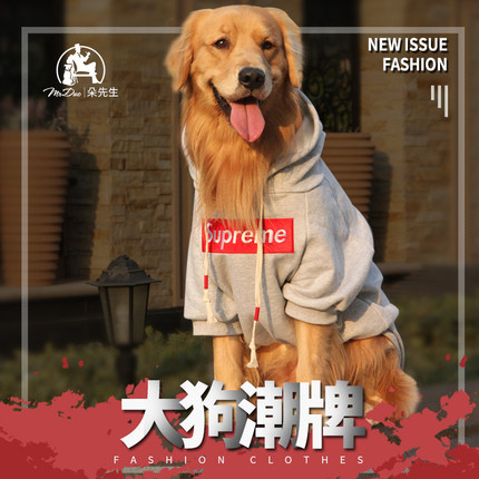 潮牌大狗衣服金毛边牧衣服中大型犬秋冬加厚卫衣萨摩拉拉多冲锋衣