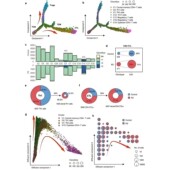TCGA 中医网络药理学 GEO数据库挖掘 单基因测序 生信分析咨询