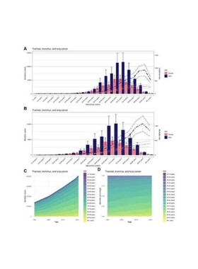 GBD nhanes CHARLS MIMIC MR数据库代分析可全包医学sci生信分析