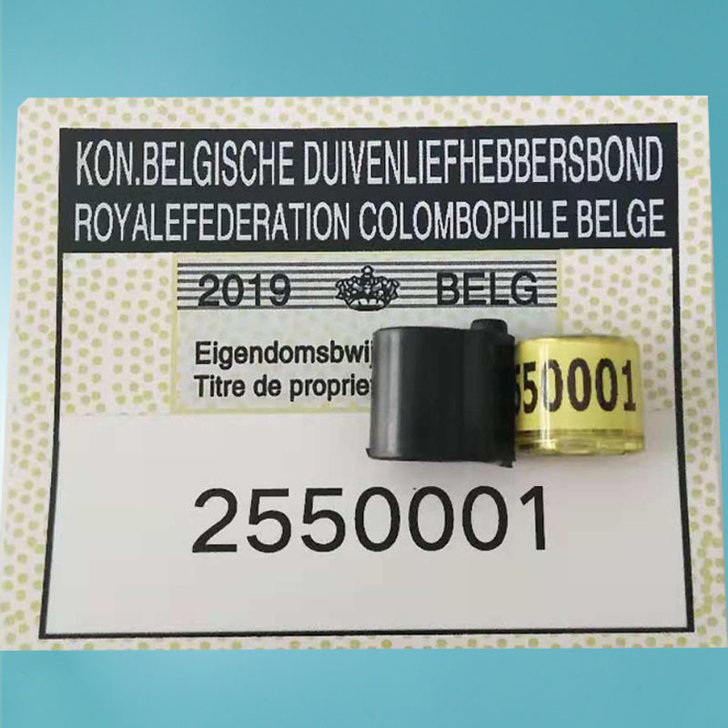 比利时鸽子足环2019带证统一外籍环信鸽用品用具鸽环足环带证包邮