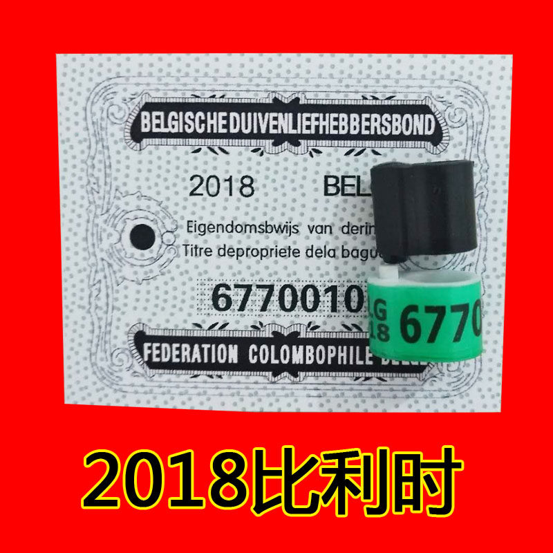 比利时信鸽足环2018带证正品统一公棚赛鸽德国荷兰脚环鸽环包邮