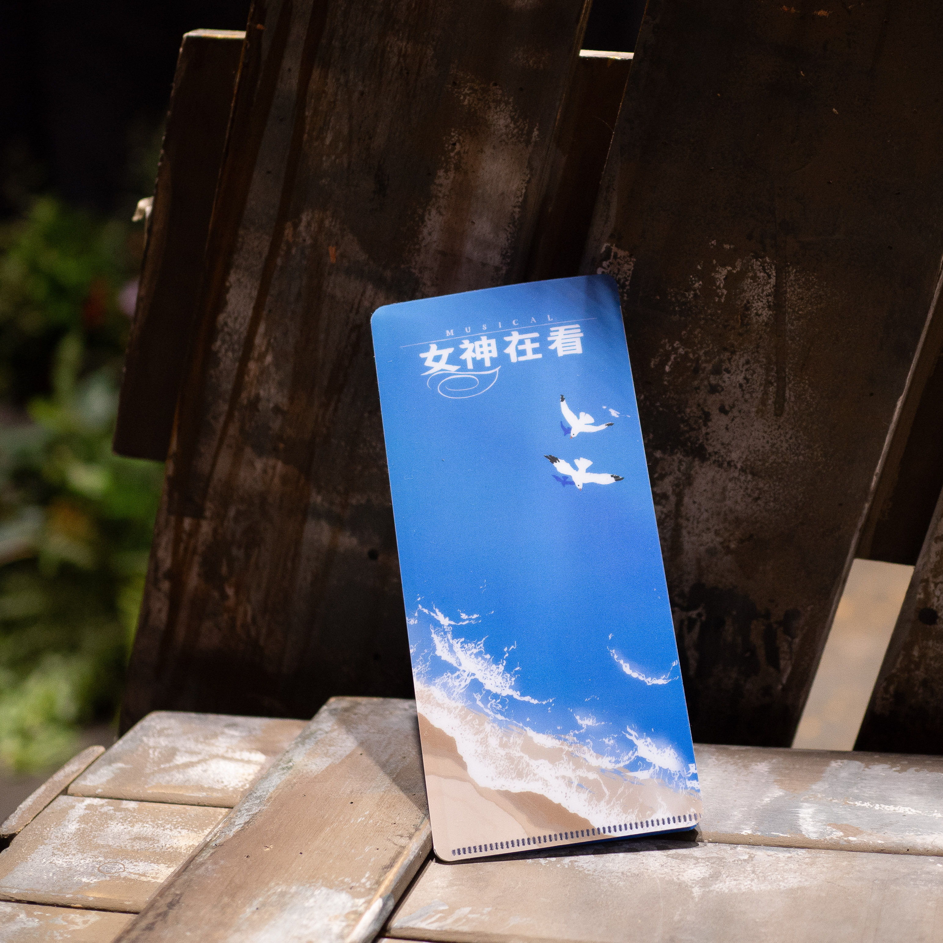 女神在看音乐剧话剧舞剧戏剧剧场票根收纳票夹演唱会门票收纳票据