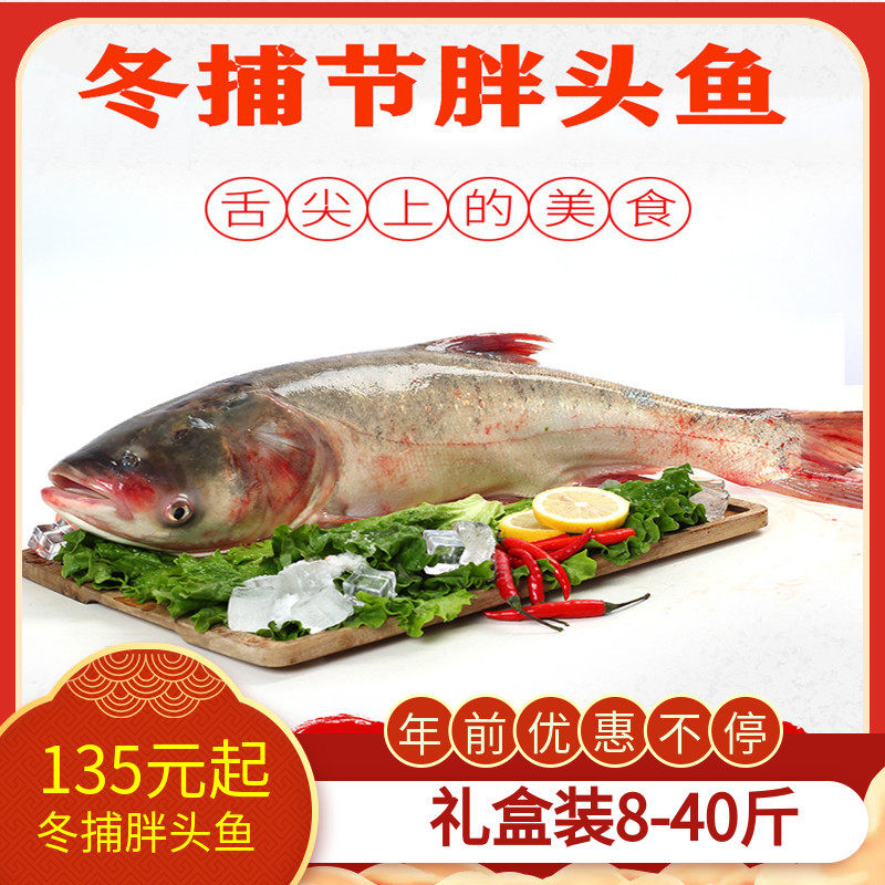 礼盒装8-40斤吉林松原查干湖鱼胖头鱼冬捕鱼冷冻保鲜年货包邮