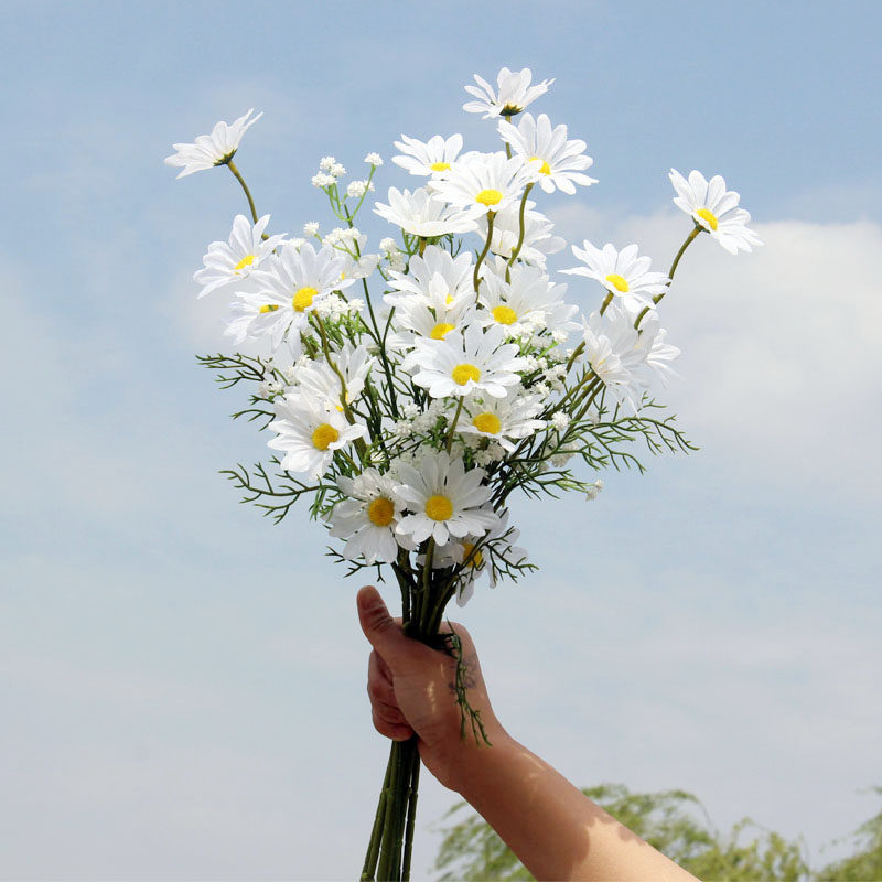 ins小清新时尚摄影婚纱道具文艺旅拍照外景毕业季仿真雏菊手捧花