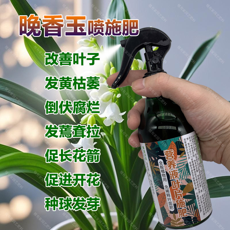晚香玉专用肥料晚香玉花苗种球种植专用土开花肥营养液叶面肥肥料