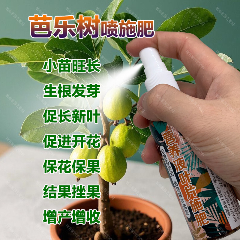 芭乐树专用肥料芭乐果树营养液开花保花保果结果挫果增产增收肥料,鲜花速递/花卉仿真/绿植园艺,家庭园艺肥料,淘宝优惠券,粉丝福利购,淘宝优惠卷