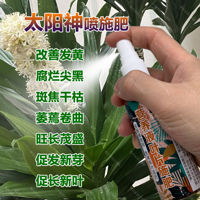 太阳神专用肥料绿植营养液发黄腐烂尖黑斑焦无枯萎蔫卷曲叶面肥料,鲜花速递/花卉仿真/绿植园艺,家庭园艺肥料,淘宝优惠券,粉丝福利购,淘宝优惠卷