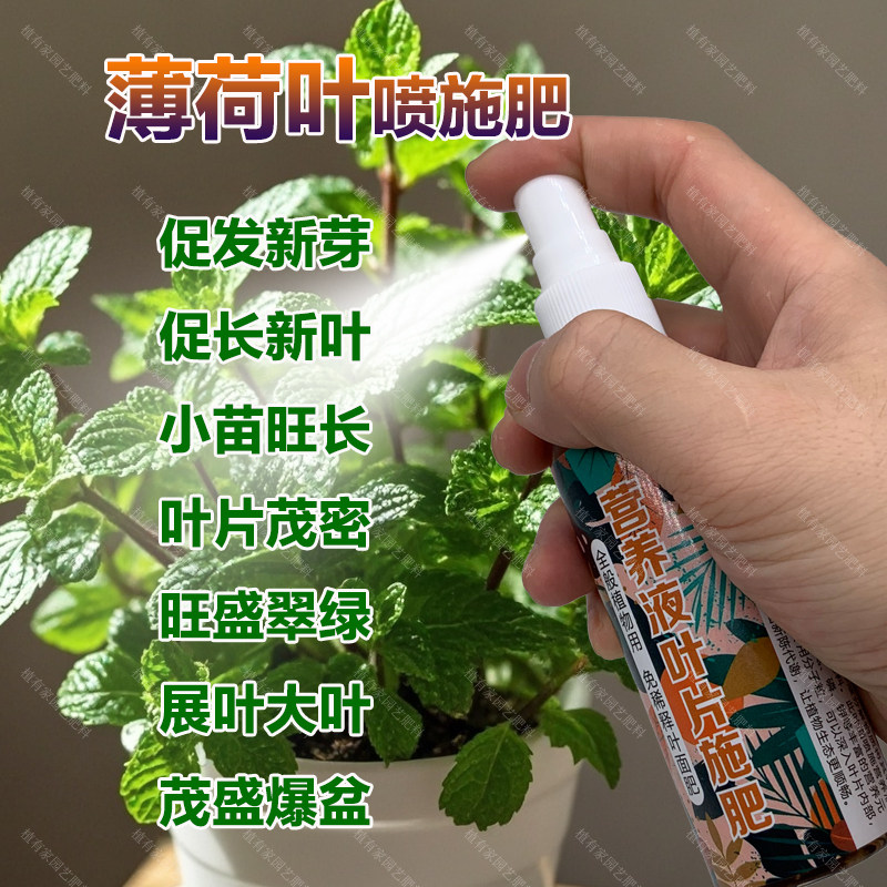 薄荷专用肥料养殖盆栽留兰香猫薄荷叶水培专用土培营养液叶面肥料,鲜花速递/花卉仿真/绿植园艺,家庭园艺肥料,淘宝优惠券,粉丝福利购,淘宝优惠卷