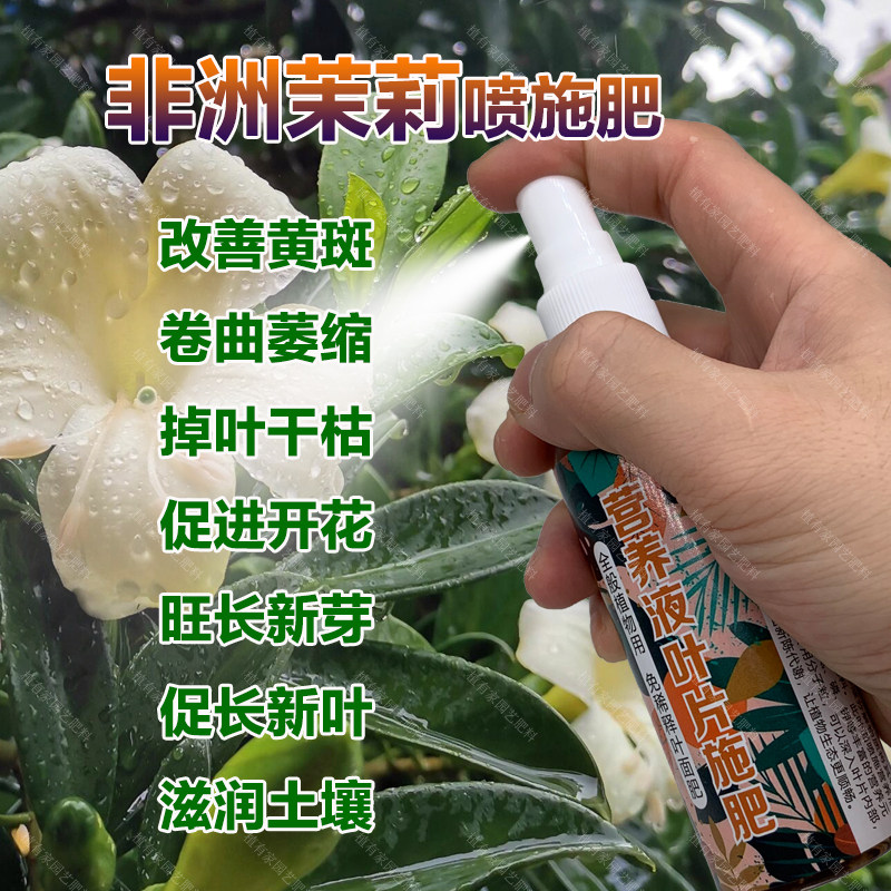 非洲茉莉专用肥料盆栽植物营养液花肥茉莉花树苗土培老桩花卉肥料,鲜花速递/花卉仿真/绿植园艺,家庭园艺肥料,淘宝优惠券,粉丝福利购,淘宝优惠卷