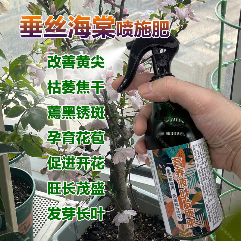 垂丝海棠专用肥料垂丝海棠树苗营养液开花旺长茂盛发芽长叶面肥料,鲜花速递/花卉仿真/绿植园艺,家庭园艺肥料,淘宝优惠券,粉丝福利购,淘宝优惠卷