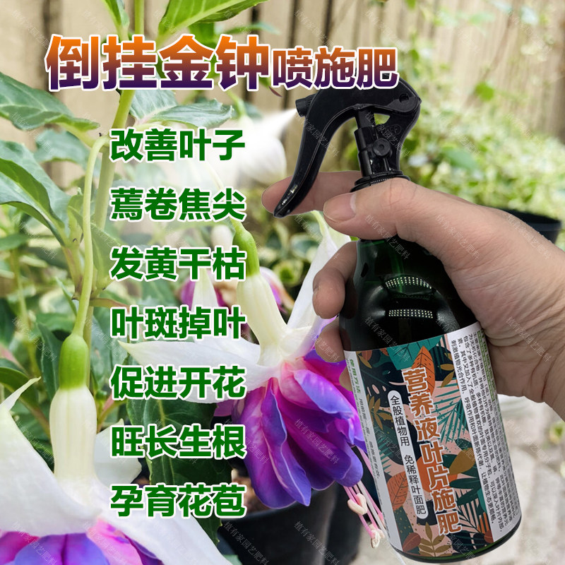 倒挂金钟专用肥料老桩盆栽倒挂金钟花肥营养液有机肥颗粒缓释肥料,鲜花速递/花卉仿真/绿植园艺,家庭园艺肥料,淘宝优惠券,粉丝福利购,淘宝优惠卷