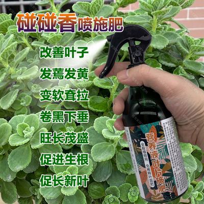 碰碰香老桩专用肥料水培专用土培多肉植物花卉营养液盆栽叶面肥料