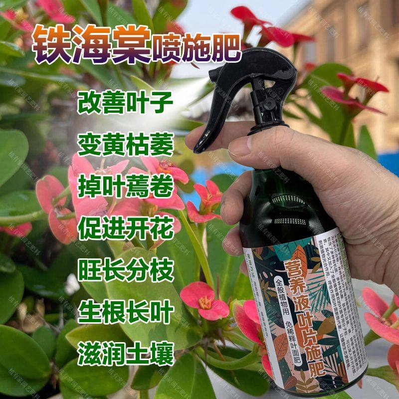 铁海棠专用肥料盆景植物营养液虎刺梅盆栽叶子卷变黄枯萎掉落肥料,鲜花速递/花卉仿真/绿植园艺,家庭园艺肥料,淘宝优惠券,粉丝福利购,淘宝优惠卷