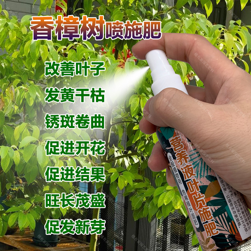 香樟树专用肥料免稀释肥叶面肥营养液叶子发黄干枯锈斑卷曲花肥料,鲜花速递/花卉仿真/绿植园艺,家庭园艺肥料,淘宝优惠券,粉丝福利购,淘宝优惠卷
