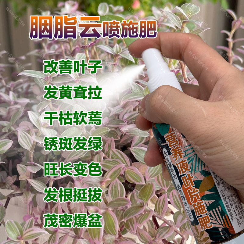 胭脂云专用肥料盆栽营养液叶子发黄耷拉干枯软蔫锈斑发绿叶面肥料,鲜花速递/花卉仿真/绿植园艺,家庭园艺肥料,淘宝优惠券,粉丝福利购,淘宝优惠卷