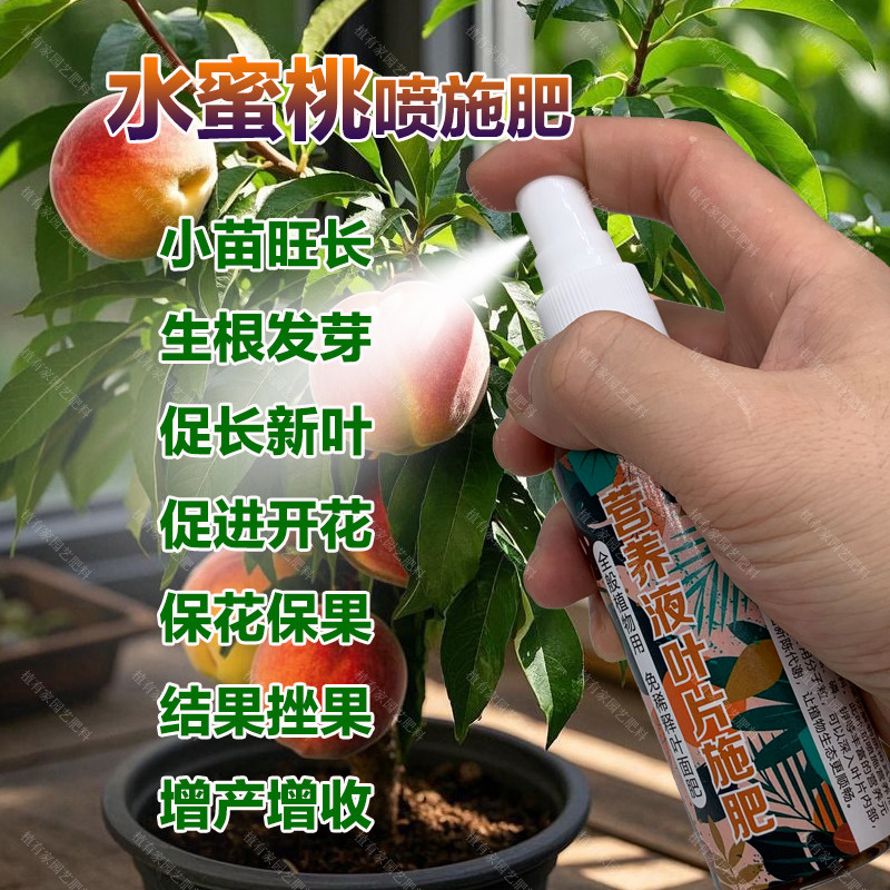 水蜜桃专用肥料水蜜桃树营养液开花保花保果结果挫果增产增收肥料,鲜花速递/花卉仿真/绿植园艺,家庭园艺肥料,淘宝优惠券,粉丝福利购,淘宝优惠卷