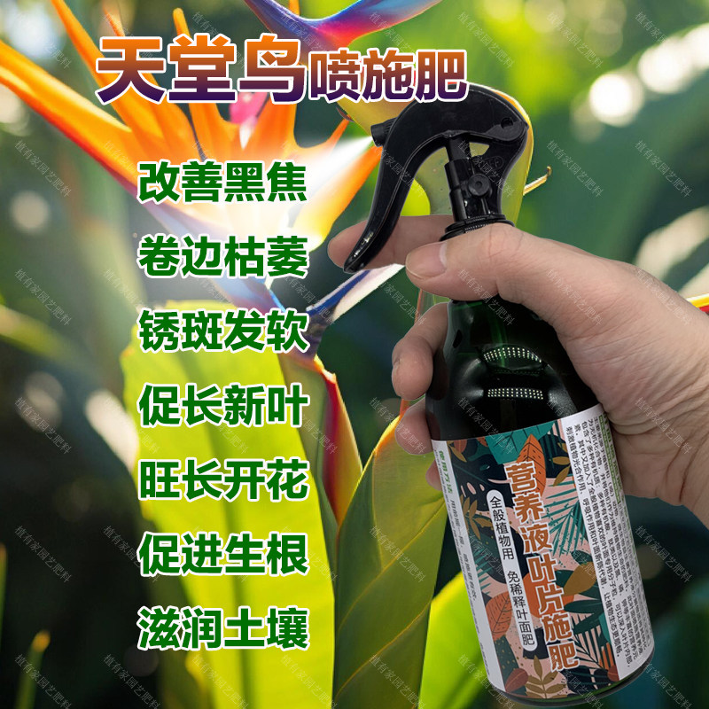 天堂鸟专用肥料盆栽绿植营养液叶面肥立直长新叶生根挺拔开花肥料,鲜花速递/花卉仿真/绿植园艺,家庭园艺肥料,淘宝优惠券,粉丝福利购,淘宝优惠卷